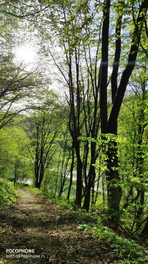 Smaragd River Near Rastoke & Plitvice Lakes Slunj Dış mekan fotoğraf